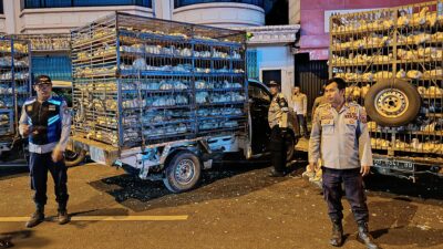 Bongkar Muat Ayam di Badan Jalan, 15 Kendaraan Ditilang Petugas