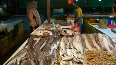 Tingkat Konsumsi Ikan di Kalbar Lebih Rendah dari Rata-Rata Nasional