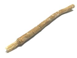 Ini Manfaat Siwak bagi Kesehatan Gigi dan Mulut