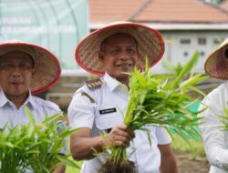 Dukung Program Swasembada Pangan, Pemkot Pontianak Tingkatkan Produksi Hasil Pertanian