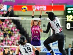 Hasil Pertandingan Final V-League, Red Sparks Kalah Pink Spiders Juara