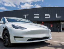 Hadapi Tekanan Berat di Eropa, Penjualan Tesla di Belanda Menurun Drastis