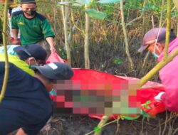 Salah Seorang Korban Speedboat Tenggelam Ditemukan dalam Kondisi Meninggal Dunia