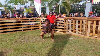 Tangkap Babi Meriahkan PGD XXXIX di Rumah Radakng Pontianak