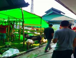 Idul Adha 2025, Rutan Pontianak Potong Hewan Kurban