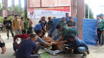 Polres Sambas Sembelih dan Distribusikan Hewan Kurban