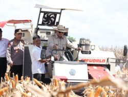 Presiden Prabowo Pimpin Panen Raya Jagung di Bengkayang
