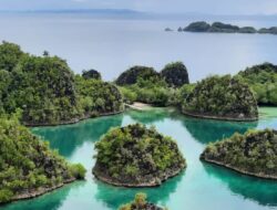 PKS Apresiasi Keputusan Presiden Prabowo Cabut Izin Empat Perusahaan Tambang di Raja Ampat