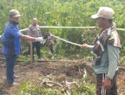 Kerangka Manusia Ditemukan di Semak Belukar  Mempawah