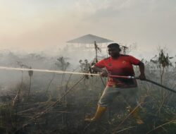 1 Hektar Kebun Milik Warga di Parit Sembin Terbakar, Api Mengarah ke Parit Haji Muksin