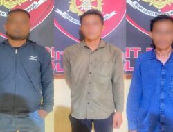 Gelapkan 36 Ton TBS Sawit, Tiga Pekerja Perkebunan di Kubu Raya Diringkus