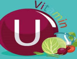 Mengenal Vitamin U, Senyawa dari Kubis yang Bermanfaat untuk Pencernaan dan Kesehatan Organ