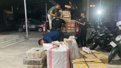 BKSDA Kalbar Gagalkan Penyelundupan 600 Ekor Burung Dilindungi ke Surabaya