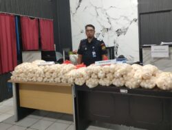 5.400 Telur Penyu Kembali Diselundupkan di Pelabuhan Sintete, Kalbar
