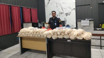 5.400 Telur Penyu Kembali Diselundupkan di Pelabuhan Sintete, Kalbar