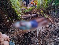 Setelah Dua Hari Hilang, Lansia di Kubu Raya Ditemukan Tak Bernyawa di Kebun Warga