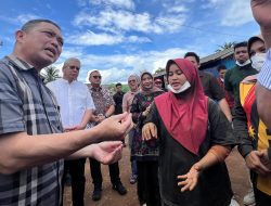 Tinjau Pabrik Kratom di Kapuas Hulu, Norsan Siapkan Regulasi Ekspor Melalui Pelabuhan Kijing