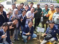 Dukung Kegiatan Penanaman Pohon, Mayawana Persada Bantu 1.000 Bibit Eucalyptus