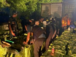 Bea Cukai Gagalkan Penyelundupan 2 Kontainer Rokok Ilegal Asal Kamboja di Pontianak