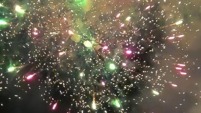 Pesta kembang api akan mewarnai perayaan Imlek 2577 di Jalan Gajah Mada.