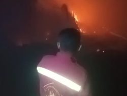 Karhutla di Kubu Raya, Petugas Kesulitan Padamkan Api