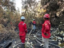 Atasi Karhutla, PT Mayawana Persada Perkuat Tim Lapangan dan Pengelolaan Hidrologi Gambut