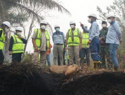 Peduli Lingkungan, MIND ID Distribusikan Masker dan APD untuk Daerah Terdampak Asap
